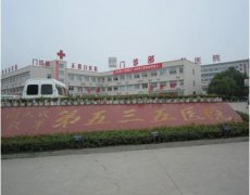 �ѻ�535�tԺ�C������